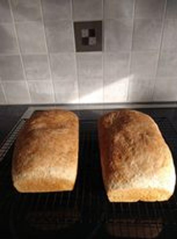 Photo du client 5 de 5. Cliquez pour ouvrir l'image pleine grandeur.