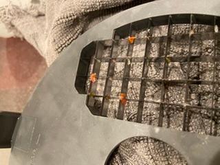 Customer photo 2 of 4. Click to open full size image.