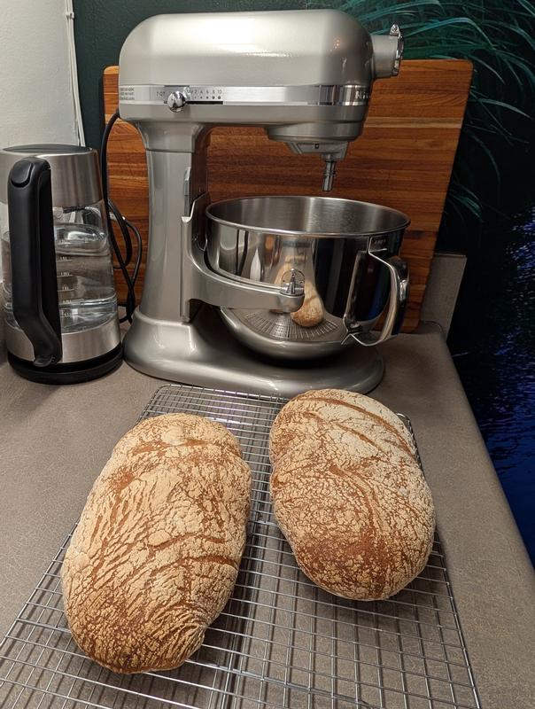 Ciabatta loaves from my Proline 7