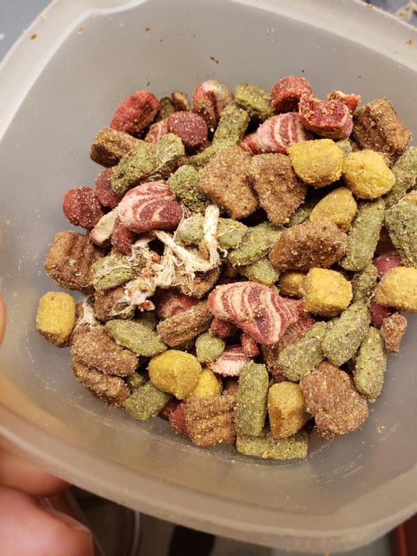 Kibbles and bits dog food cheap ingredients