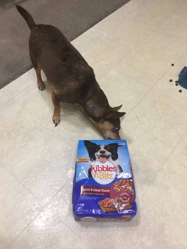 Kibbles n Bits Bacon Steak Flavor Dry Dog Food 16 Pound Bag