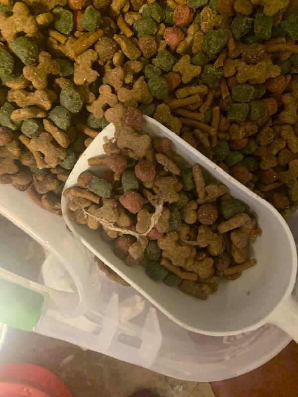 Kibbles and 2024 bits cat food