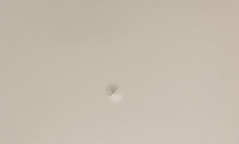 Another screw, properly screwed in split the wood.