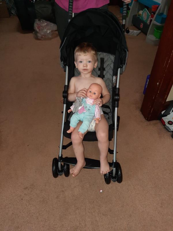 Customer photo for "Easy to use stroller."