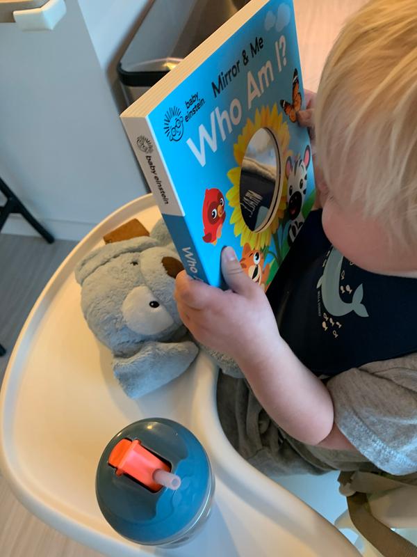 Baby Einstein™ "Mirror & Me Who Am I?" by Scarlett Wing buybuy BABY