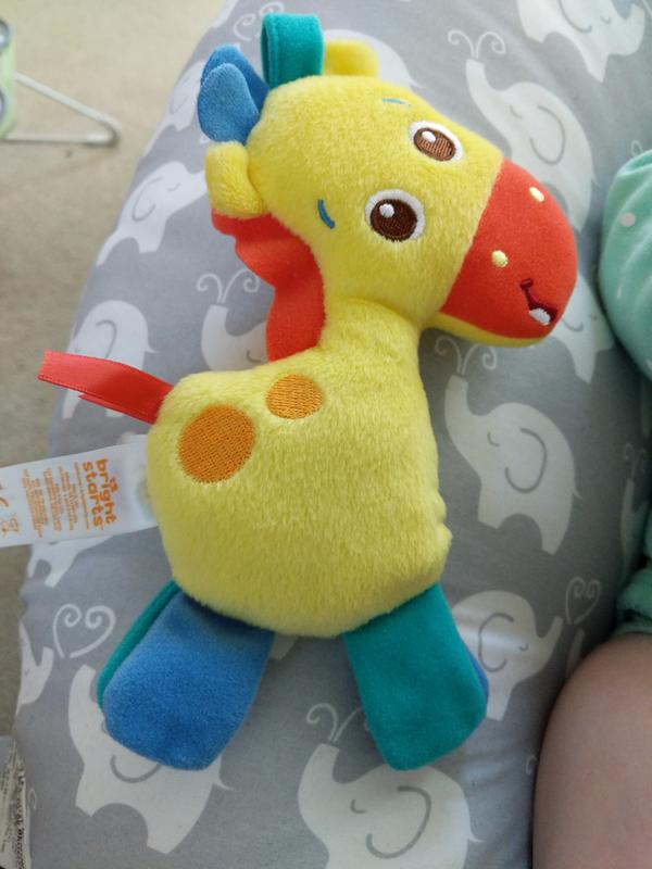 bright starts zippy zoo