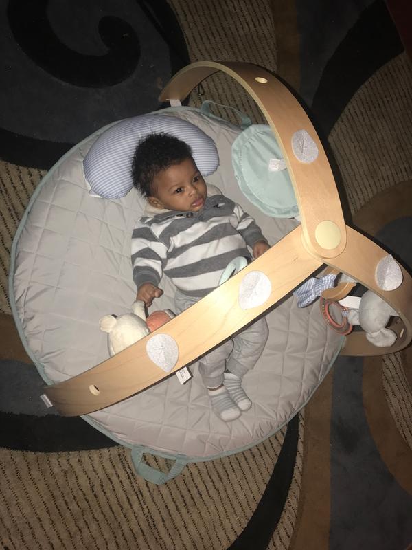 Happy Comfy Paradise