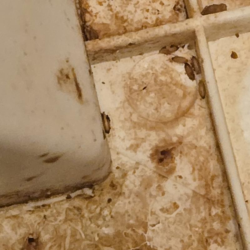 Review Thumbnail Image 3 179035056