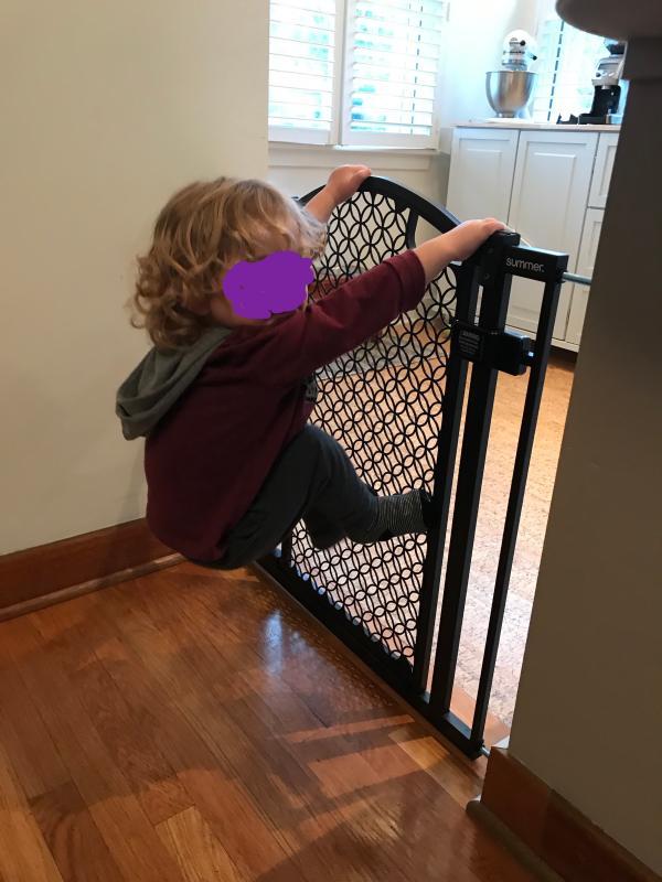 Photo - commentaire 1.