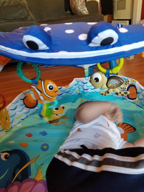 Rolling around enjoying himself