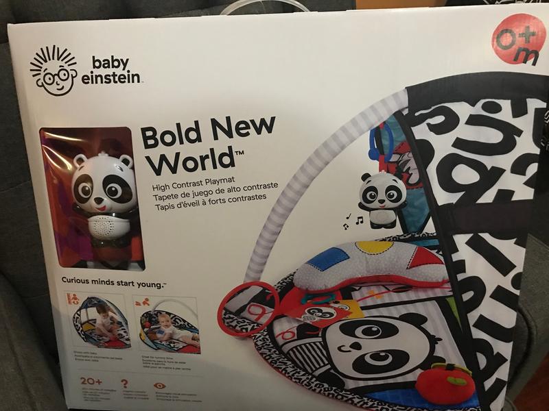 baby einstein bold new world play mat