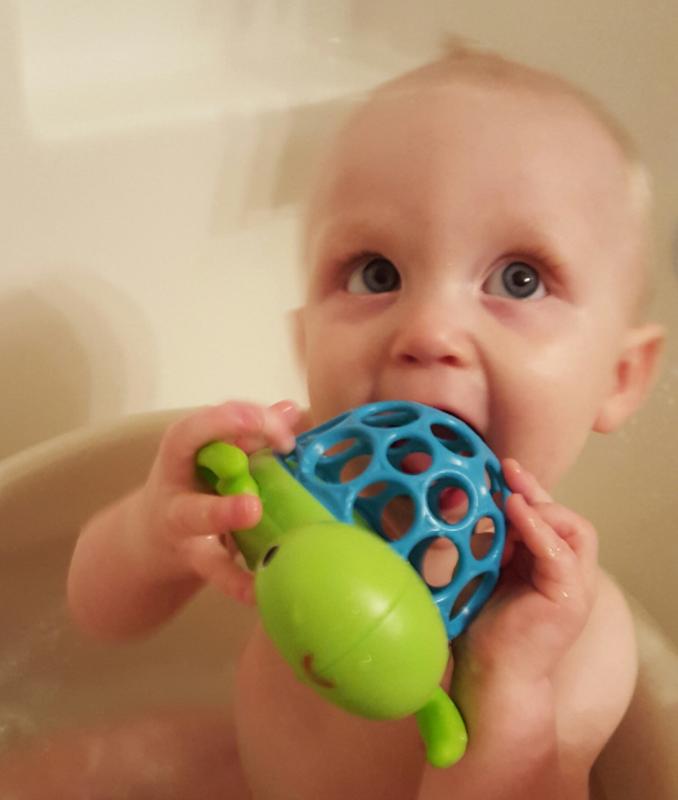 oball wind n swim turtle