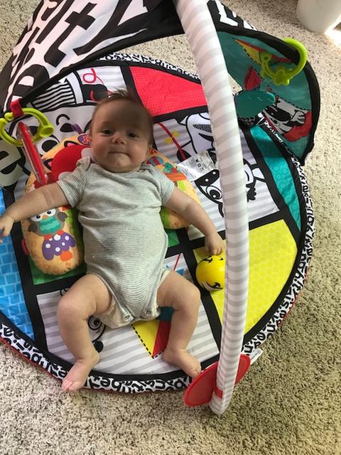 baby einstein bold new world play mat