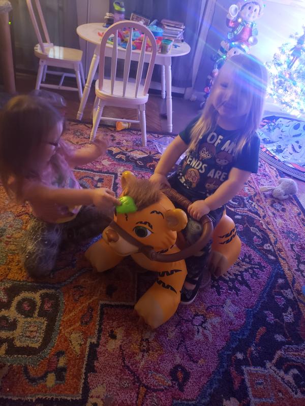 Photo - commentaire&nbsp;8.