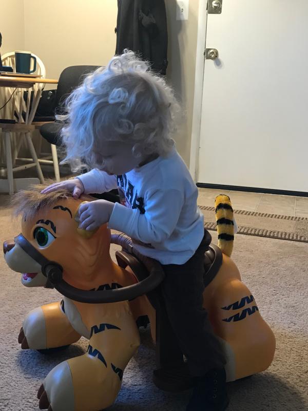 Riding Tiger