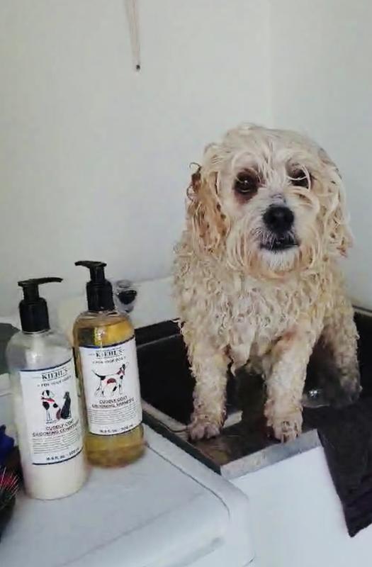 Customer photo for "This product is amazing!"