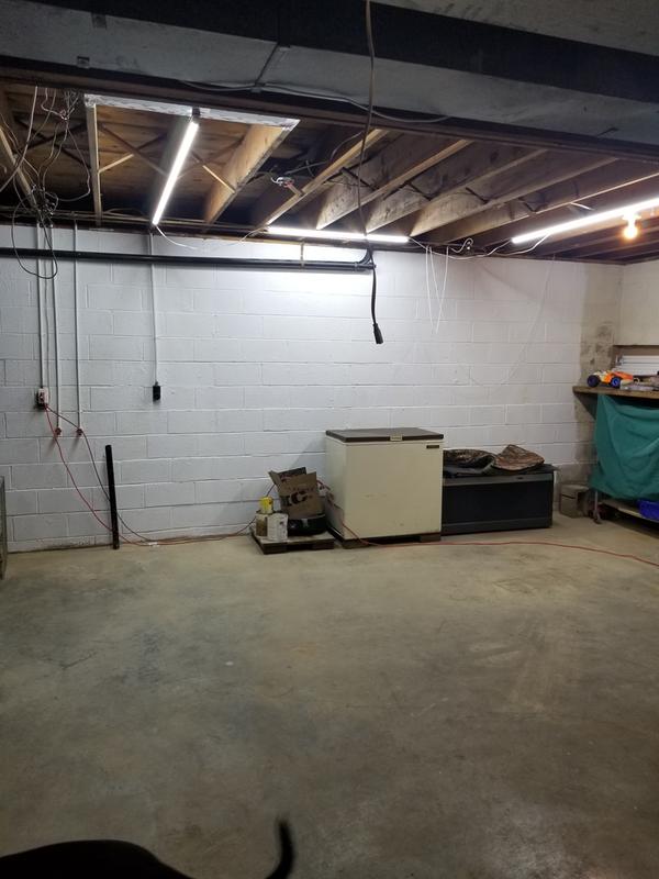 Kilz For Basement Walls Openbasement