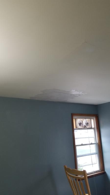 Benjamin Moore Fresh Start High Hiding White Primer