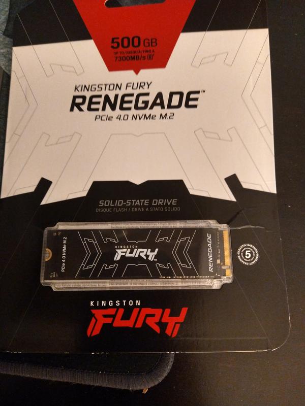 Kingston Fury Renegade 4TB PCIe Gen 4.0 NVMe M.2 Internal Gaming SSD with  Heat Sink | PS5 Ready | Up to 7300MB/s | SFYRDK/4000G