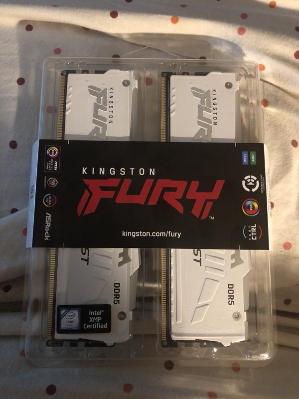 Kingston FURY™ Beast White DDR5 RGB EXPO Desktop Memory – Kingston  Technology