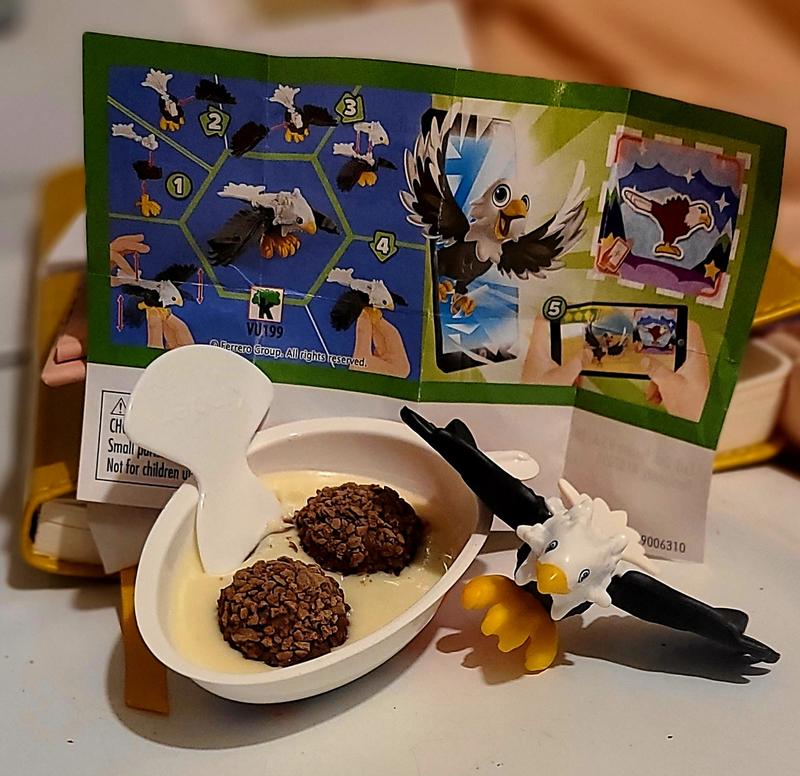 Final product of toy & egg!