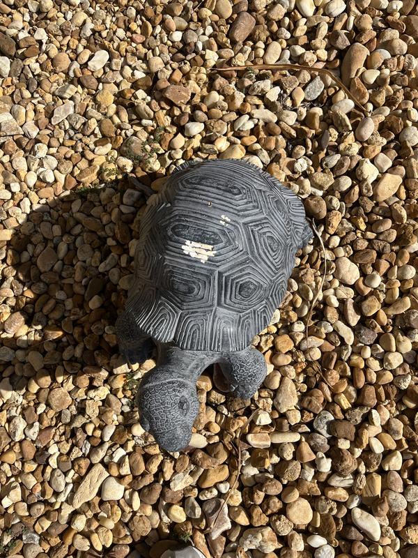 Stone Gray Outdoor Turtle Statue | Kirklands Home