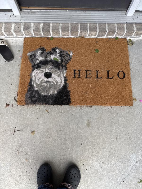 Black Schnauzer Hello Doormat | Kirklands Home