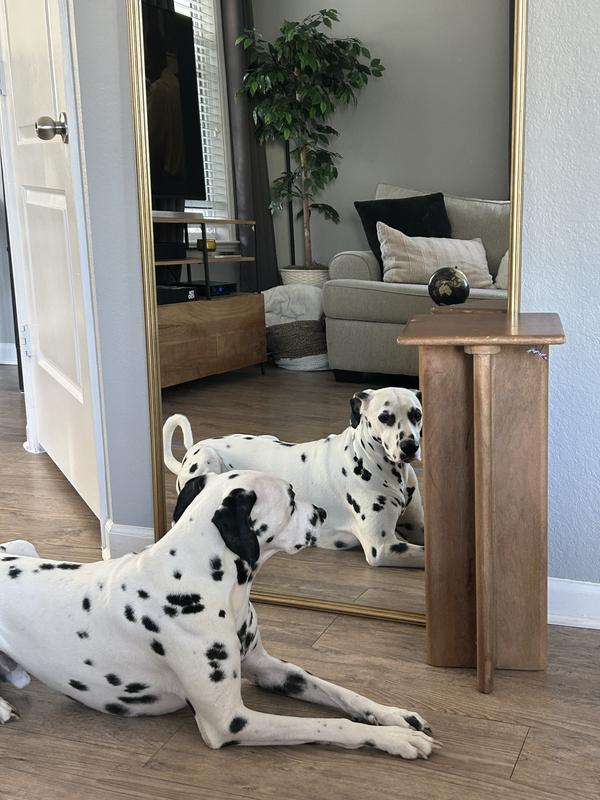 Gold Peacock and Flora Leaner Mirror | Kirklands Home