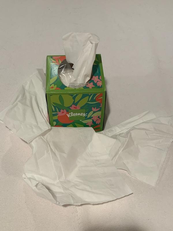 Photo - commentaire&nbsp;8.