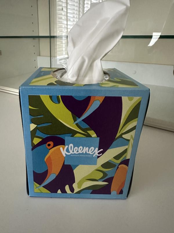 Kleenex Ultra Soft Facial Tissues, 2 Flat Boxes, 110 White Tissues per Box,  3-Ply (220 Total)
