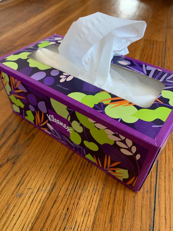 Photo - commentaire&nbsp;8.