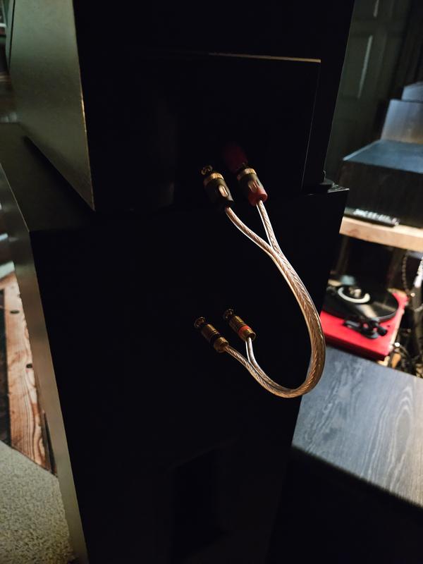 Homemade jump cables