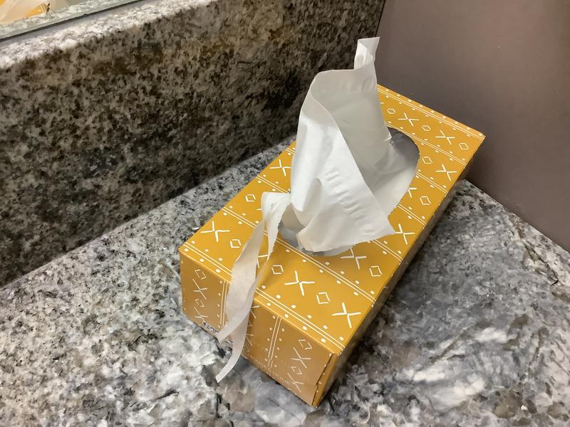 Photo - commentaire 7.