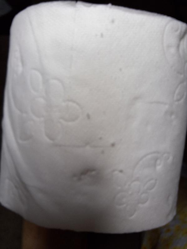 Photo - commentaire 1.