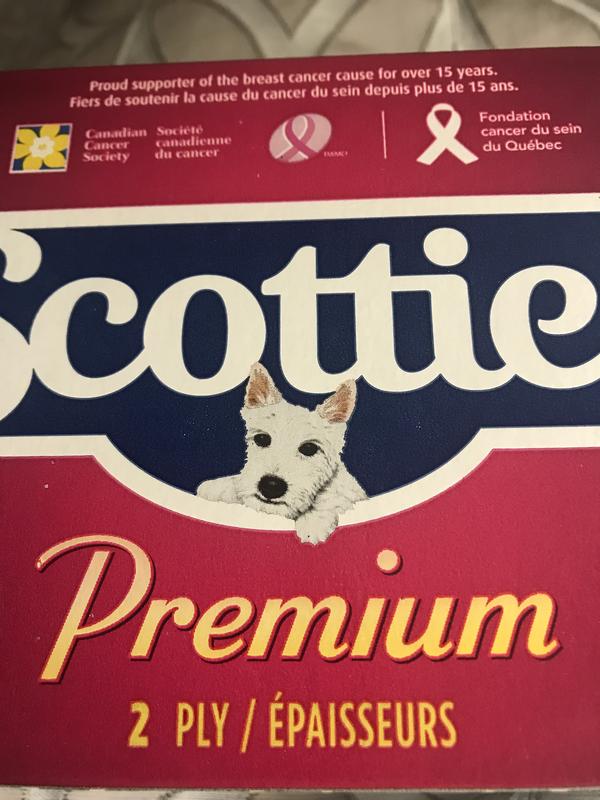 Photo - commentaire 1.