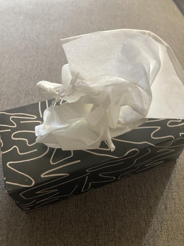 Photo - commentaire 2.