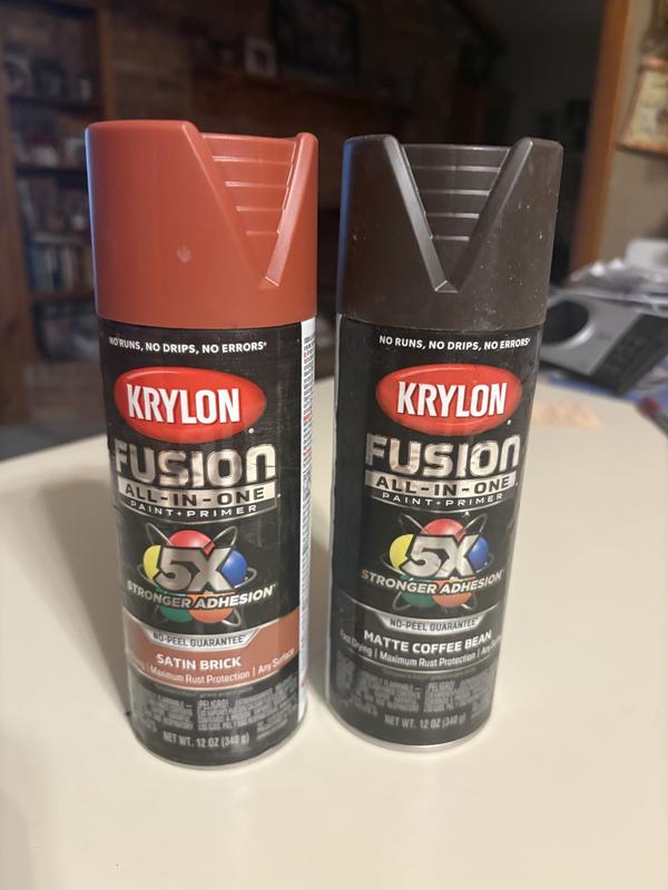 Krylon Fusion All-in-One — 2 of Favorite Colors!