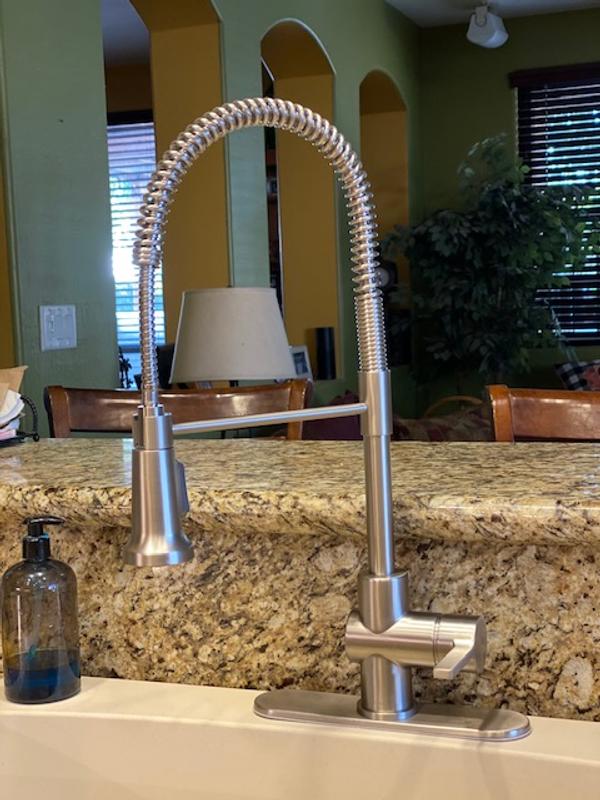 Kraus Commercial Faucet