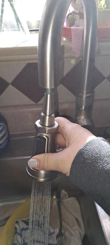 Sprayhead Kitchen Faucet In Matte Black