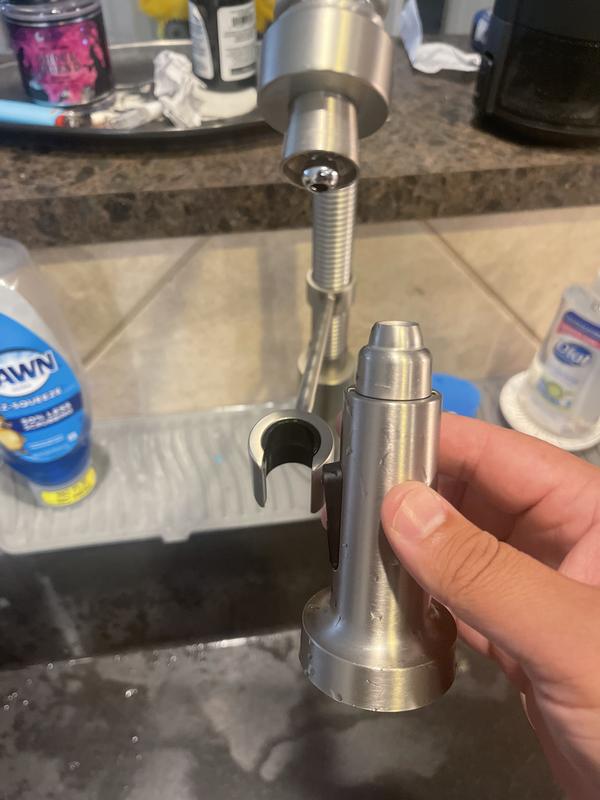 detached sprayer head