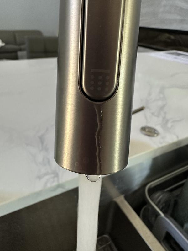 Leaking from sprayer button