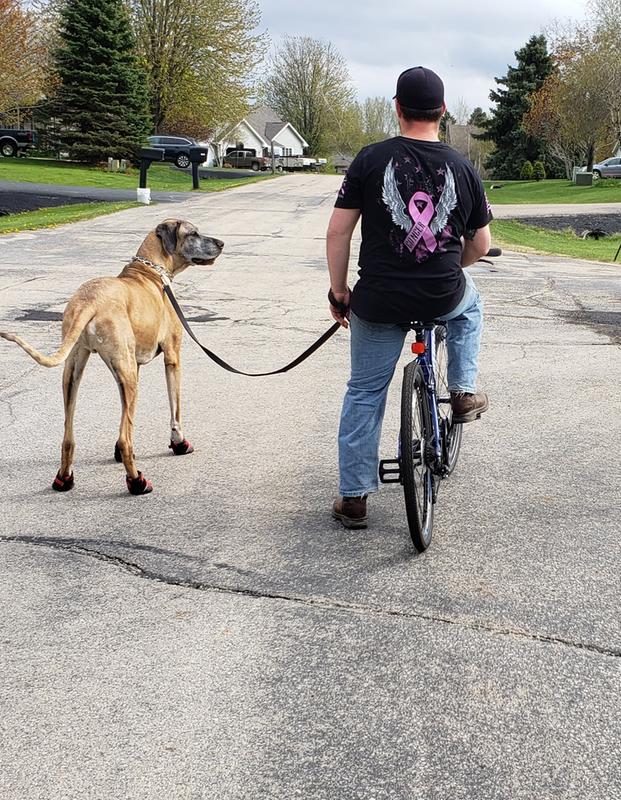 dog boots for great danes