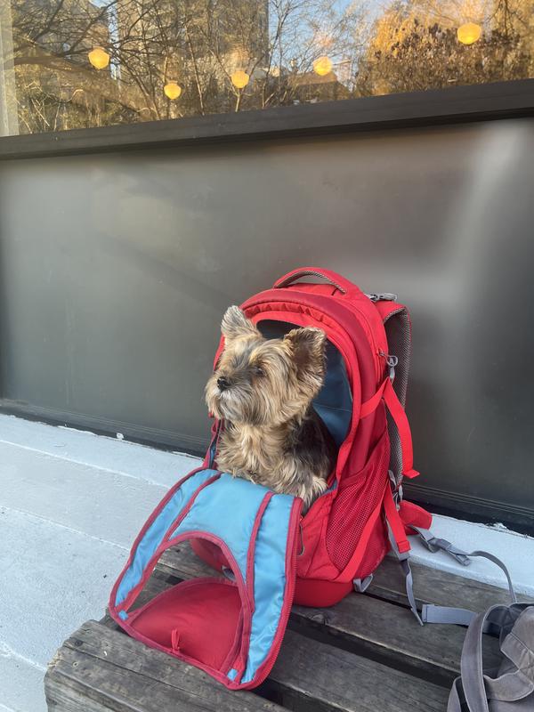 Dog backpacks for outlet humans