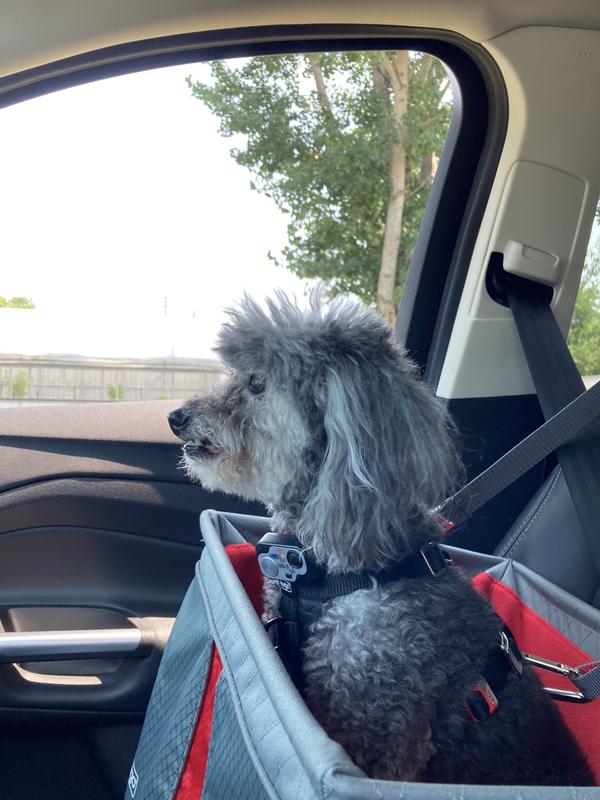 Kurgo rover booster seat black blue at tractor supply co