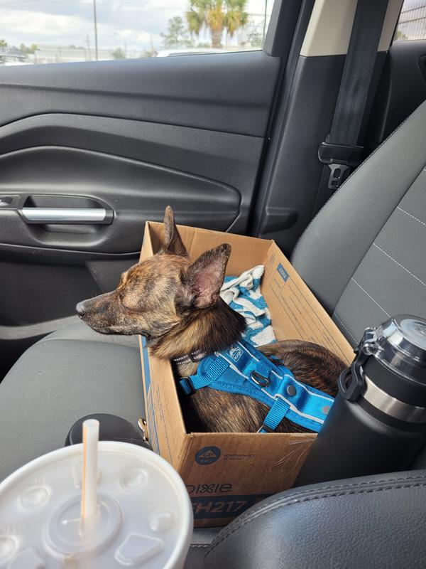 Just chilling comfortable.