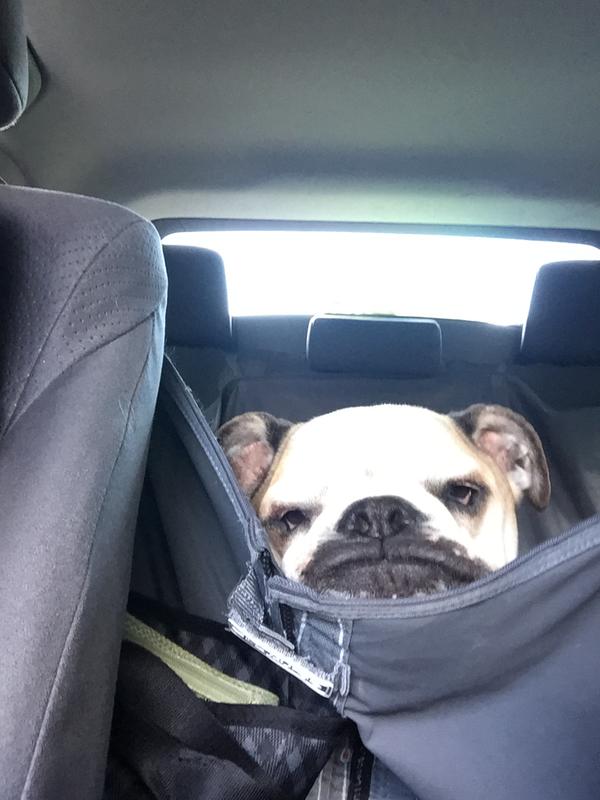 He was able to rest his face on it.