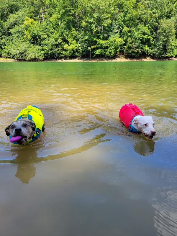 Water Toys For Lake Kurgo Fetch Toy For Dogs, Dog Floatng Water