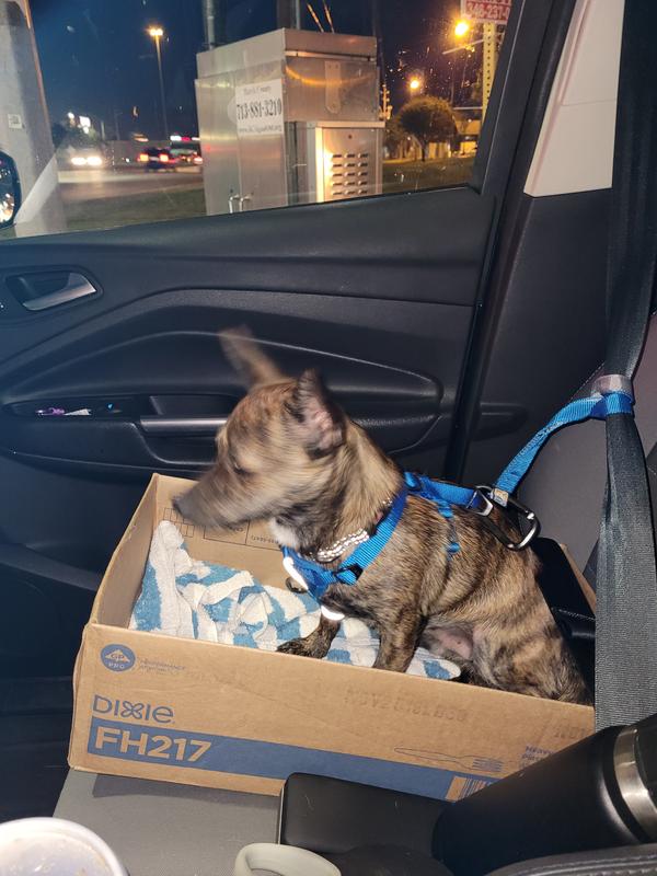 Attached to seat belt was easy. Safe and secure.