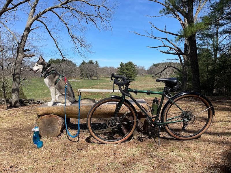 Staying well hydrated with Kurgo while bike mushing.