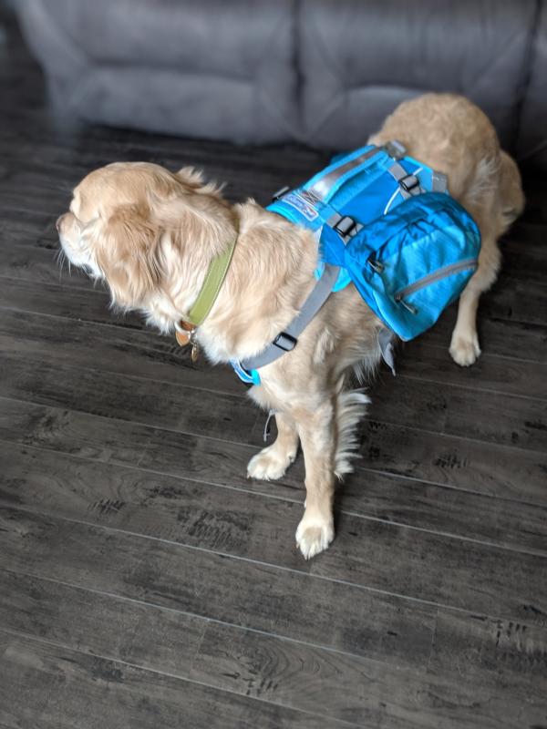 Kurgo Big Baxter Dog Backpack - Blue – Petsense